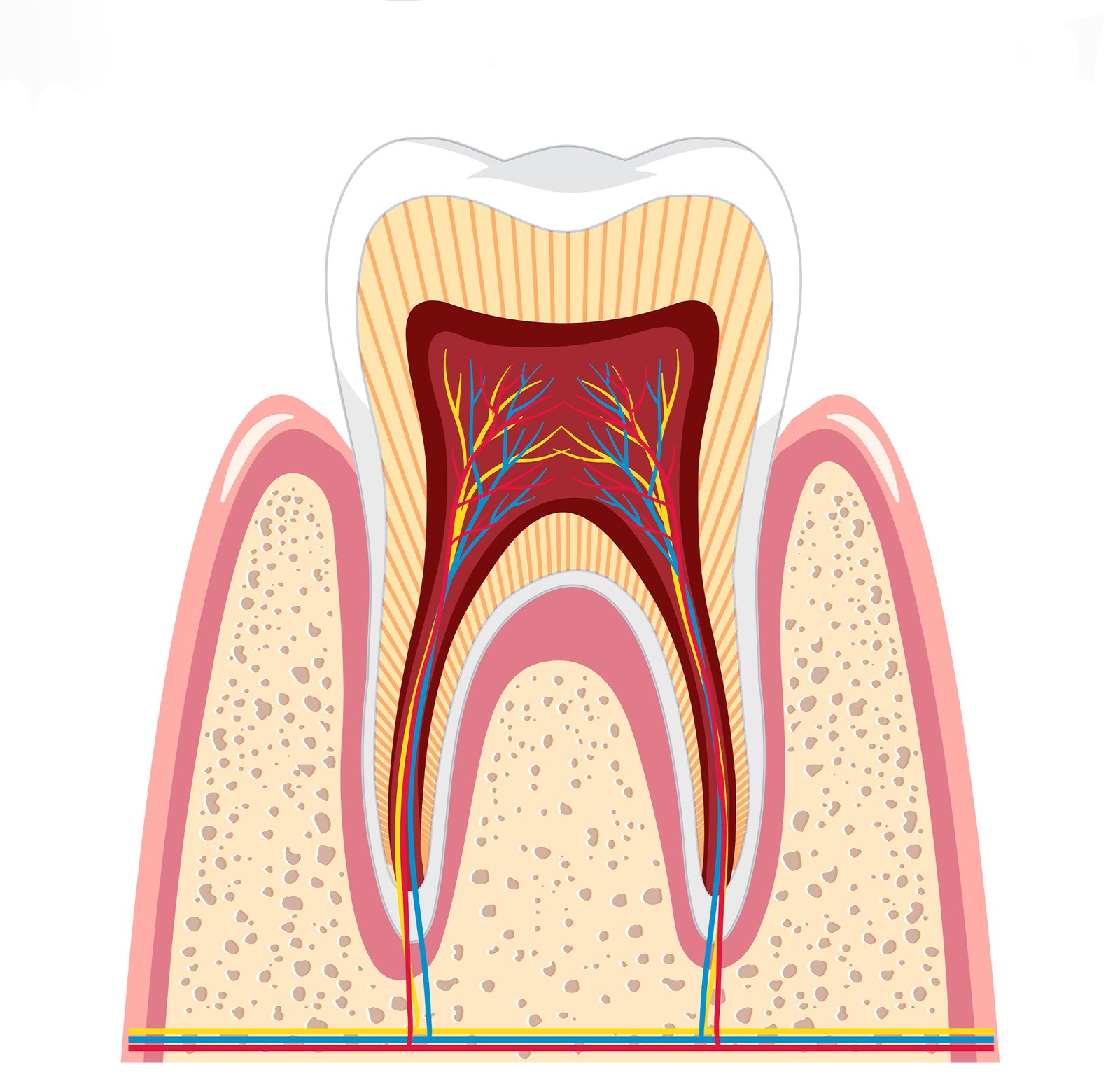 root-canal.jpg